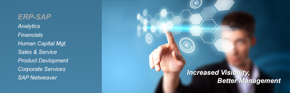ERP-SAP